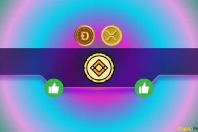 Important Binance Announcement Concerning Ripple (XRP) and Dogecoin (DOGE) Traders