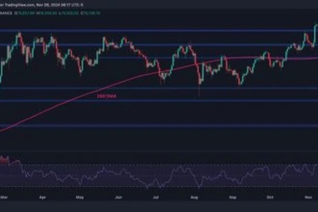 Bitcoin Price Analysis: BTC Bulls Eye $80K Following 8% Weekly Surge