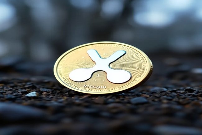 Top Ripple (XRP) Price Predictions as of Late November 2024
