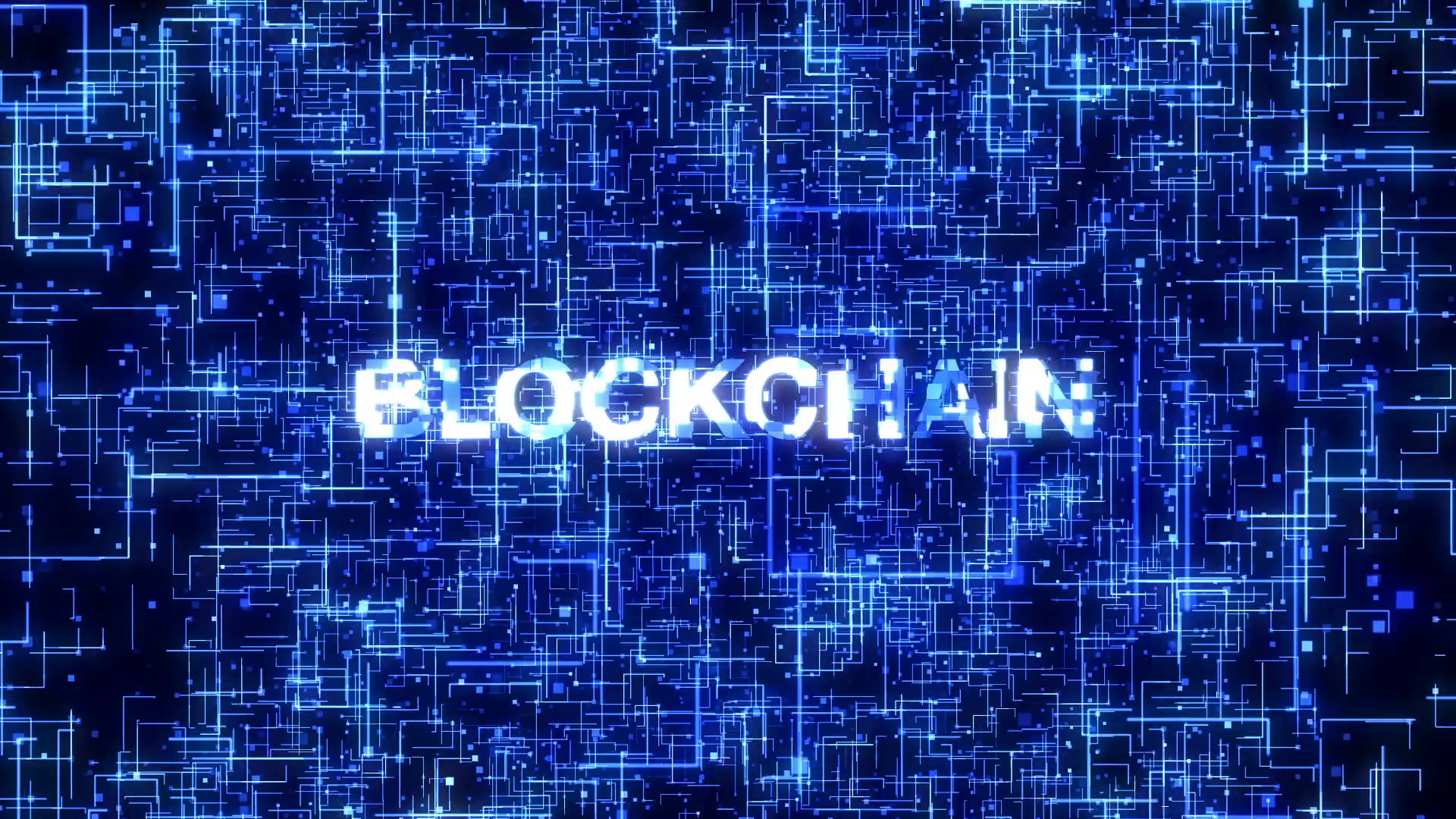 Axie Infinity Blockchain